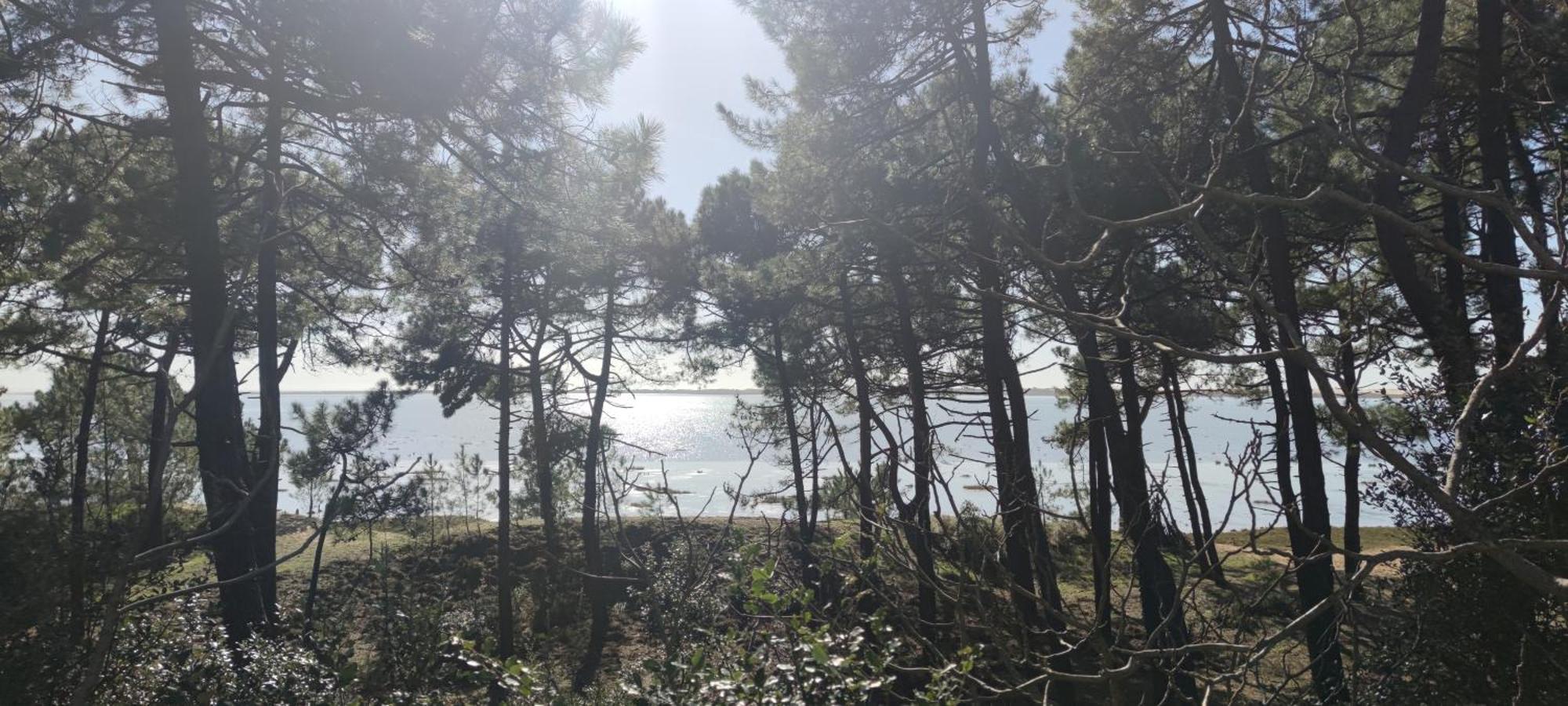 Mobil-Home - Camping Siblu Bonne Anse Plage Les Mathes Bagian luar foto